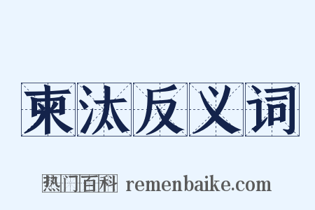 柬汰反义词是什么意思的图片